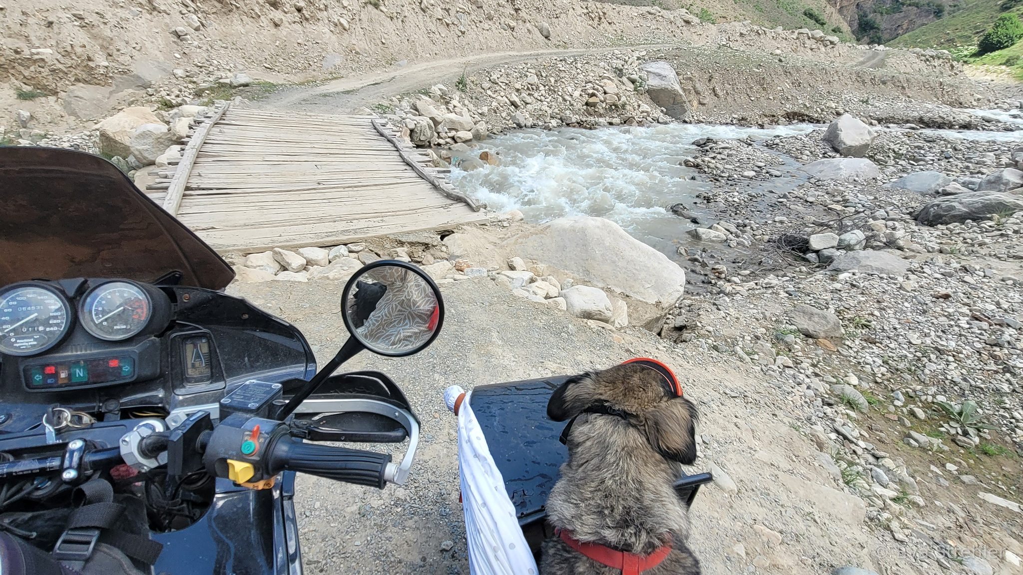Blick vom Motorrad auf eine Holzbrücke über einen Bergbach, Hund im Beiwagen