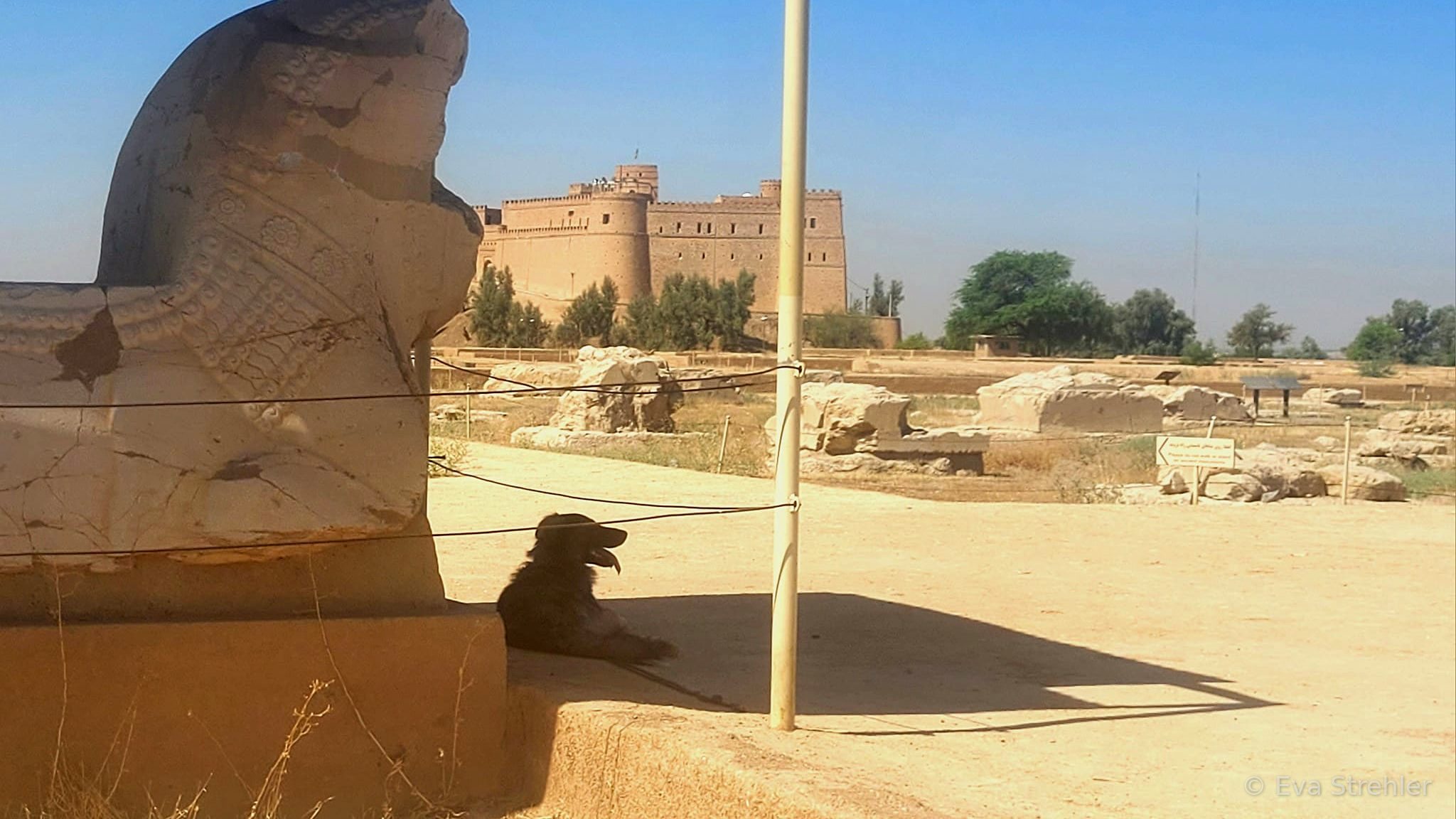 Hund liegt im Schatten einer antiken Steinfigur